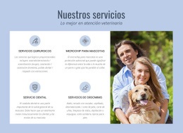 Asesoramiento Veterinario Las 24 Horas - Página De Destino