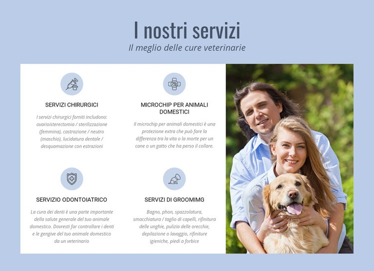 Consulenza veterinaria 24 ore su 24 Modello di sito Web