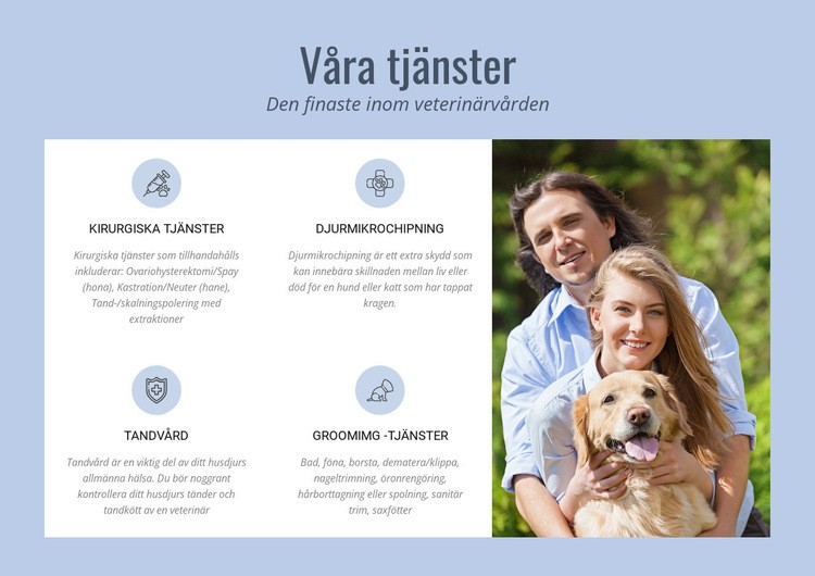 24 -timmars veterinärråd WordPress -tema