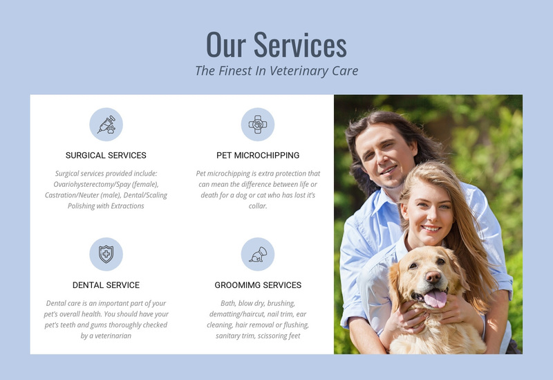 24hr veterinary advice Web Page Design
