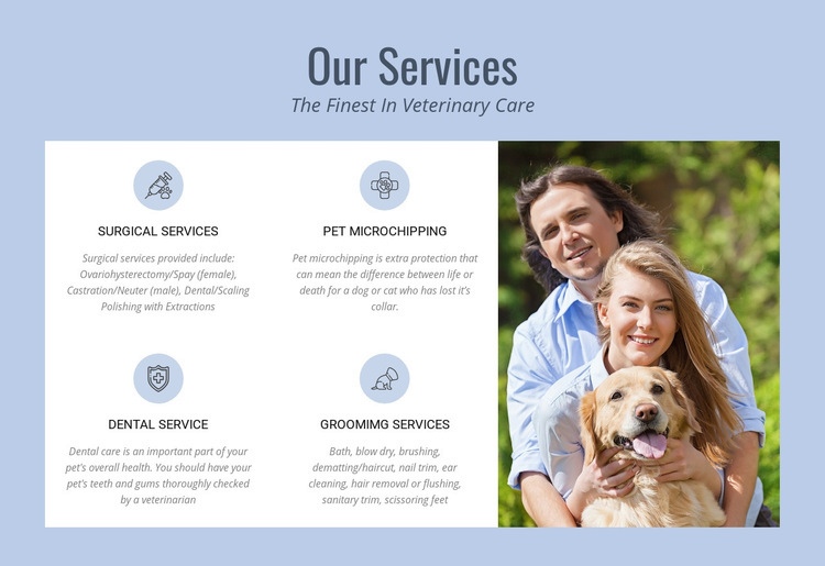 24hr veterinary advice Webflow Template Alternative