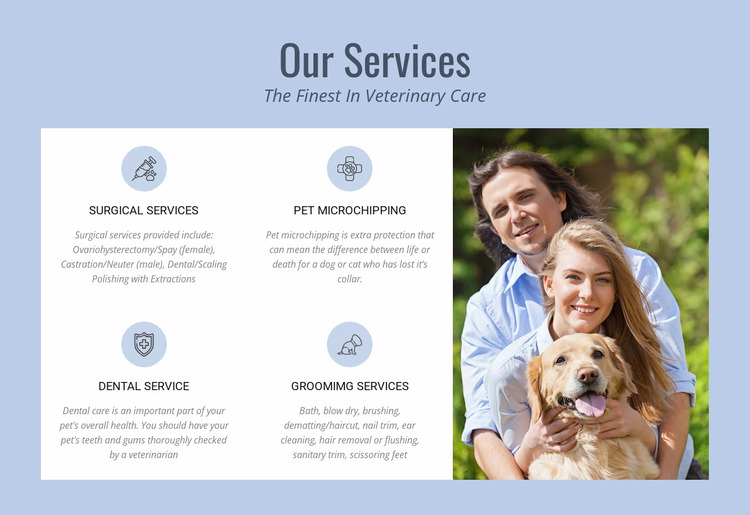 24hr veterinary advice Website Mockup