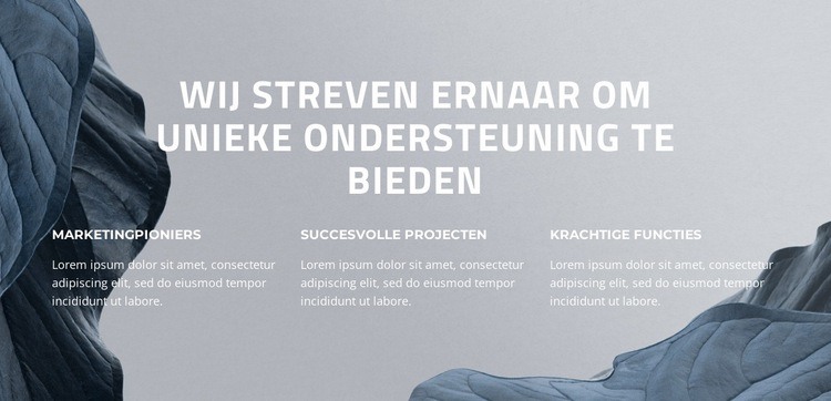 Vergroot uw digitale succes Website Builder-sjablonen