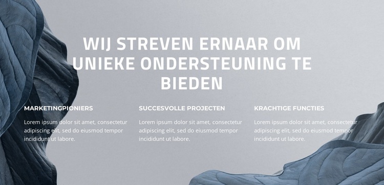 Vergroot uw digitale succes Website mockup