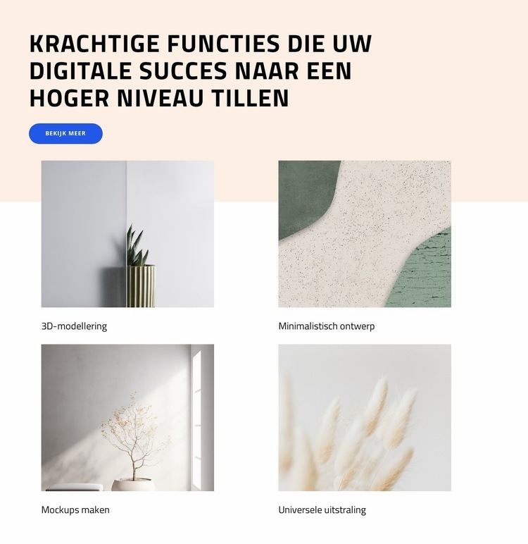 Start uw digitale reis Website ontwerp