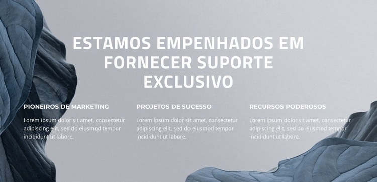 Elevando seu sucesso digital Landing Page