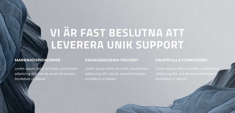 Lyft din digitala framgång HTML-mall