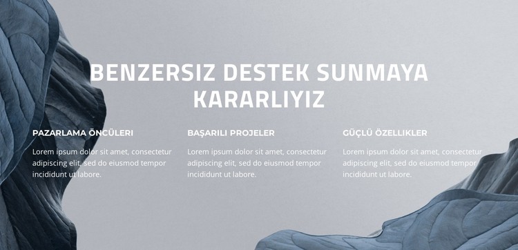 Dijital Başarınızı Yükseltiyoruz CSS Şablonu