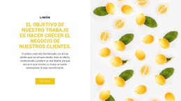 Negocio De Clientes Plantilla Premium