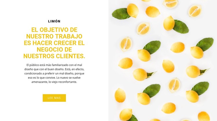 Negocio de clientes Plantilla CSS