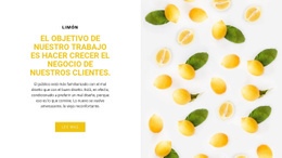 Plantilla De Una Página Para Negocio De Clientes