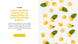 Entreprise Clients - Conception De Sites Web