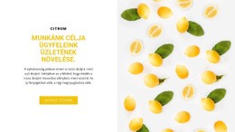 Az Ügyfelek Üzlete - Személyes Webhelysablonok