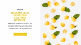 Az Ügyfelek Üzlete - Többcélú Webdesign