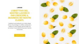 Generatore Di Siti Web Esclusivo Per Affari Dei Clienti