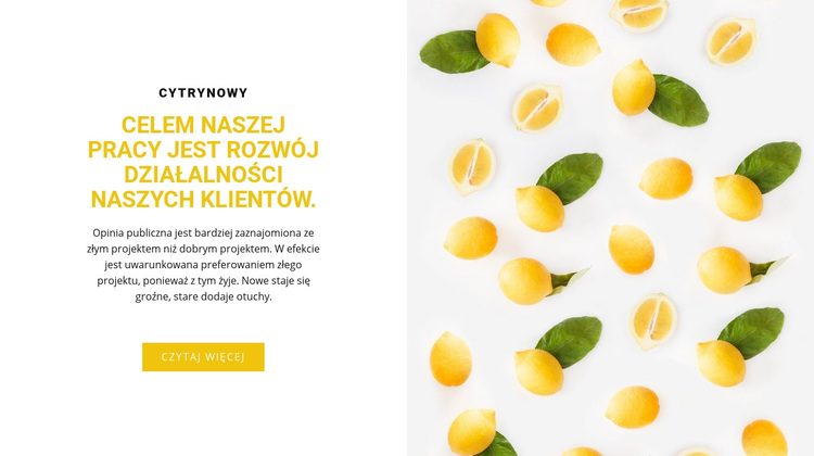 Klienci biznesowi Motyw WordPress