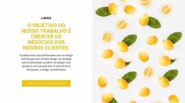 Negócios de clientes Design do site