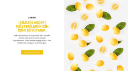 Müşteri Işi - Kişisel Web Sitesi Şablonları