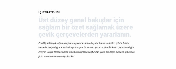 İki başlık ve metin Web sitesi tasarımı