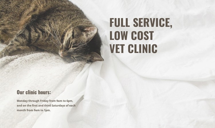 Low cost animal medical center CSS Template