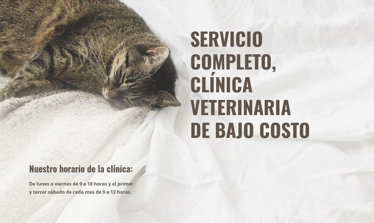 Centro médico animal de bajo costo Maqueta de sitio web