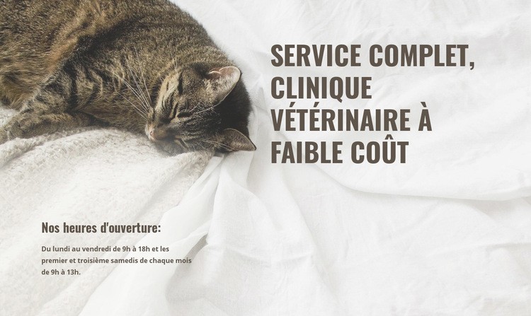 Centre médical pour animaux à faible coût Maquette de site Web