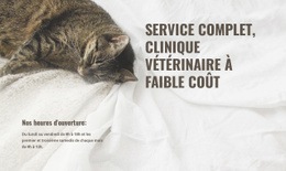 Fonctionnalité De Mise En Page Pour Centre Médical Pour Animaux À Faible Coût