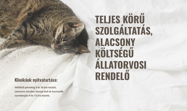 Olcsó állatorvosi központ HTML Sablon