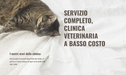Centro Medico Per Animali A Basso Costo Clinica Per Animali Domestici
