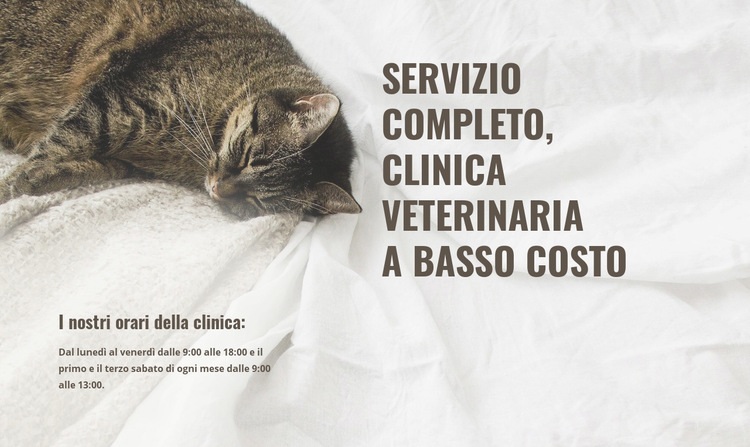 Centro medico per animali a basso costo Modello CSS