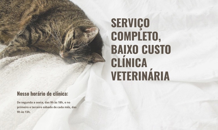 Centro médico animal de baixo custo Maquete do site
