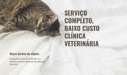 Tema WordPress Premium Para Centro Médico Animal De Baixo Custo