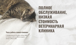 Бесплатный Шаблон Дизайна Для Недорогой Ветеринарный Центр