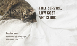 Free Design Template For Low Cost Animal Medical Center