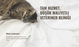 Düşük Maliyetli Hayvan Tıp Merkezi - En Iyi Tek Sayfalık Şablon