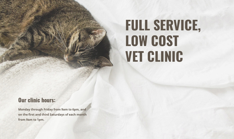 Low cost animal medical center Web Page Design