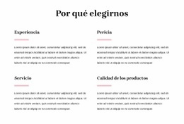 Su Socio Consultor De Confianza - Website Creation HTML