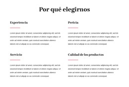 Su Socio Consultor De Confianza - Plantilla De Comercio Electrónico