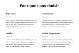 Votre Partenaire Conseil De Confiance – Créez Un Modèle Étonnant