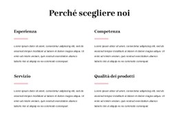 Il Tuo Partner Di Consulenza Di Fiducia Modello Premium