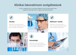 Klinikai Laboratóriumi Szolgáltatások – Ingyenes Webhelysablon