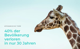 Die Illegale Jagd Ist Ein Großes Problem