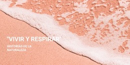 Actividades De Mar Y Agua #Website-Mockup-Es-Seo-One-Item-Suffix