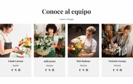 Equipo Florista - Plantillas De Sitios Web Adaptables