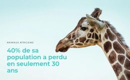 La Chasse Illégale Est Un Gros Problème - Conception De Sites Web De Téléchargement Gratuit