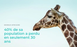 La Chasse Illégale Est Un Gros Problème – Modèle Gratuit