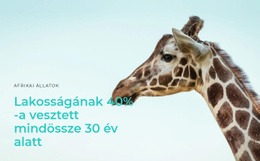 Elrendezési Funkciók A Következőhöz: Az Illegális Vadászat Nagy Probléma