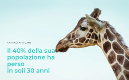 Funzionalità Di Layout Per La Caccia Illegale È Un Grosso Problema