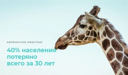 Бесплатный Макет CSS Для Незаконная Охота - Большая Проблема