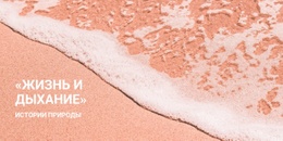 Море И Водные Развлечения – Удобный Макет Сайта